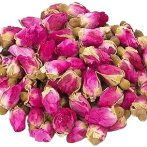 compressed_WhatsApp_Image_2025-12-02_at_14-removebg-preview